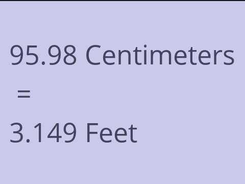 95.98 CM TO FEET