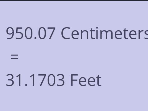 950.07 CM TO FEET