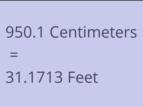 950.1 CM TO FEET