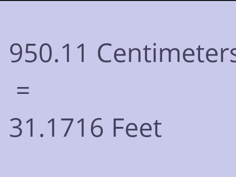 950.11 CM TO FEET