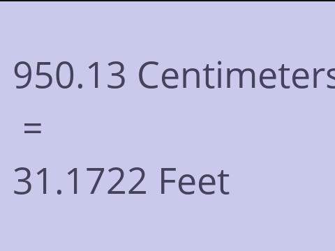 950.13 CM TO FEET