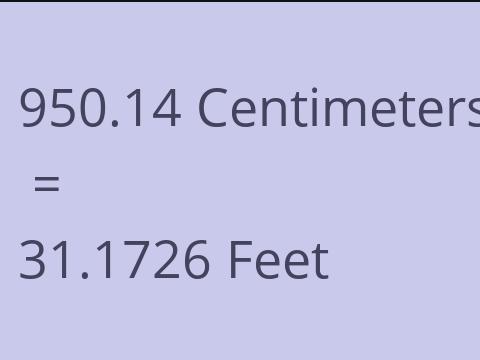 950.14 CM TO FEET