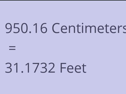 950.16 CM TO FEET