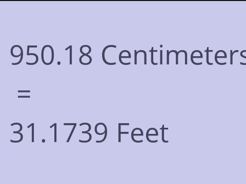 950.18 CM TO FEET