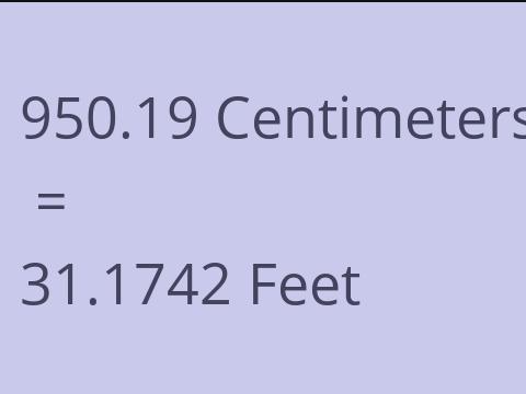 950.19 CM TO FEET