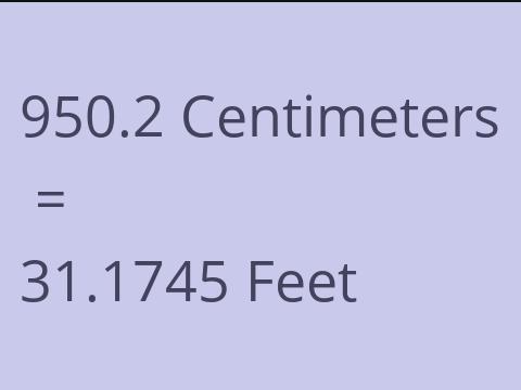 950.2 CM TO FEET