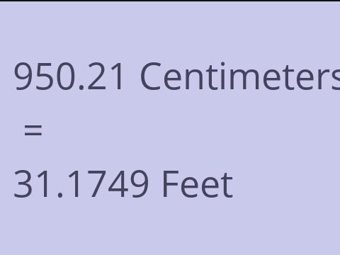 950.21 CM TO FEET