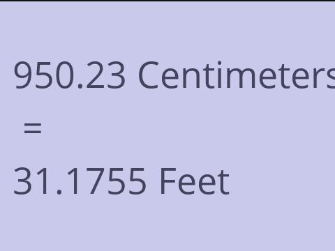 950.23 CM TO FEET