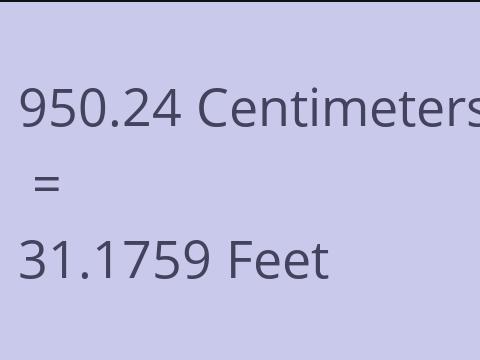 950.24 CM TO FEET