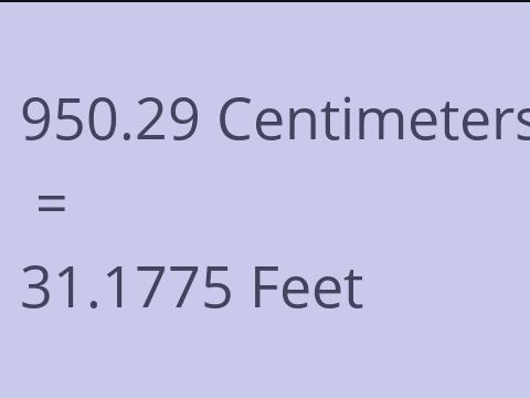 950.29 CM TO FEET