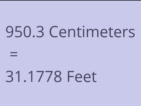 950.3 CM TO FEET