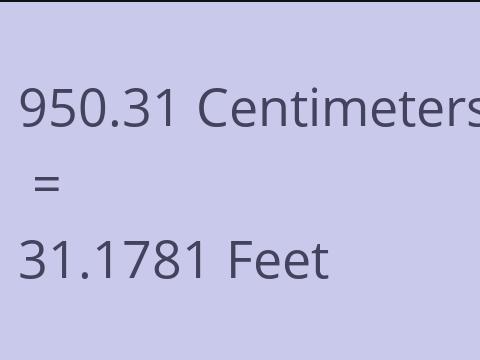 950.31 CM TO FEET