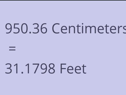 950.36 CM TO FEET