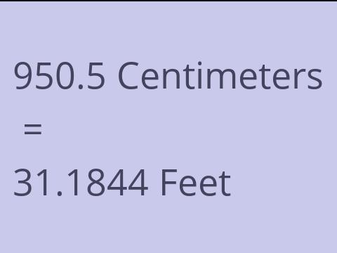 950.5 CM TO FEET