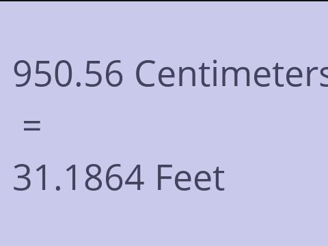 950.56 CM TO FEET