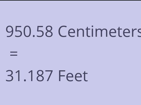 950.58 CM TO FEET