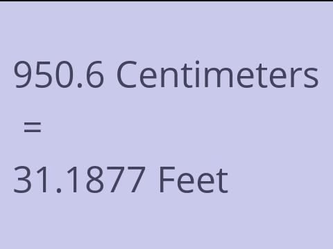 950.6 CM TO FEET