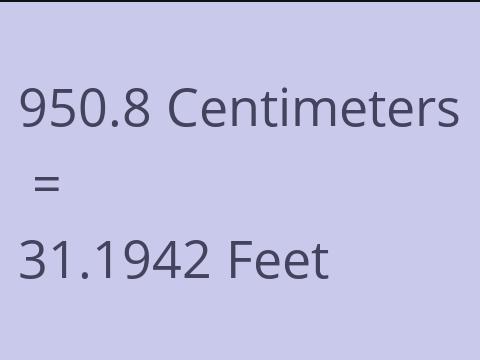 950.8 CM TO FEET