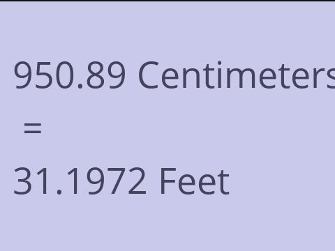 950.89 CM TO FEET