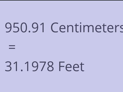 950.91 CM TO FEET