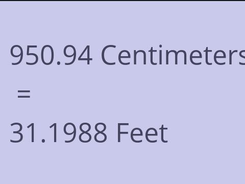 950.94 CM TO FEET