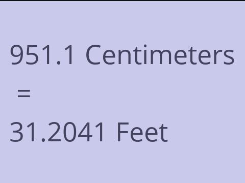 951.1 CM TO FEET