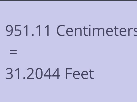 951.11 CM TO FEET