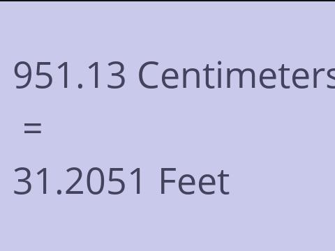 951.13 CM TO FEET