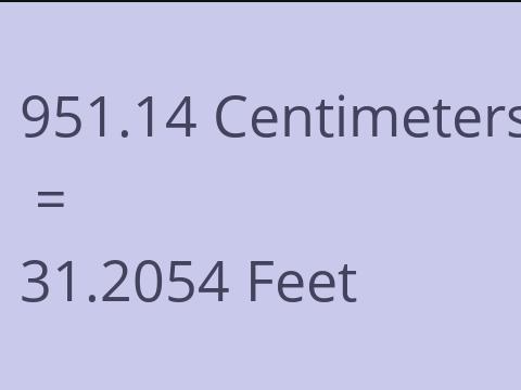 951.14 CM TO FEET