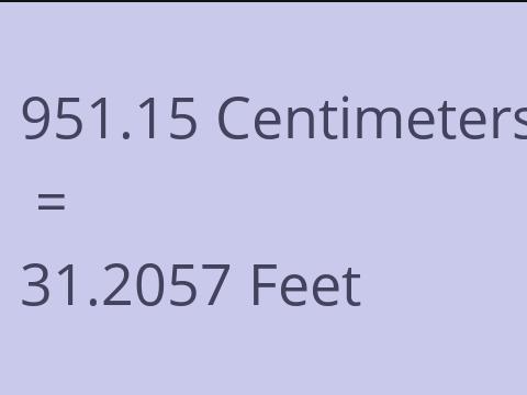 951.15 CM TO FEET