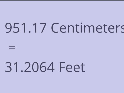 951.17 CM TO FEET