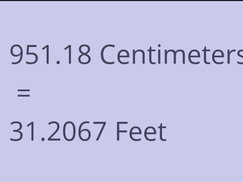 951.18 CM TO FEET