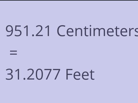 951.21 CM TO FEET