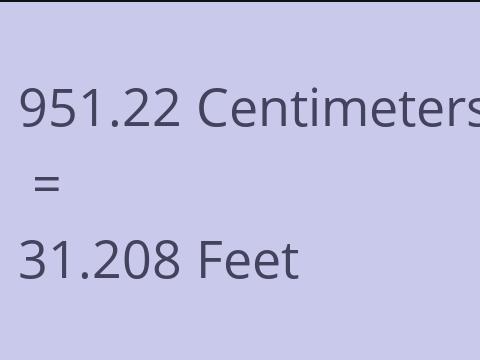 951.22 CM TO FEET