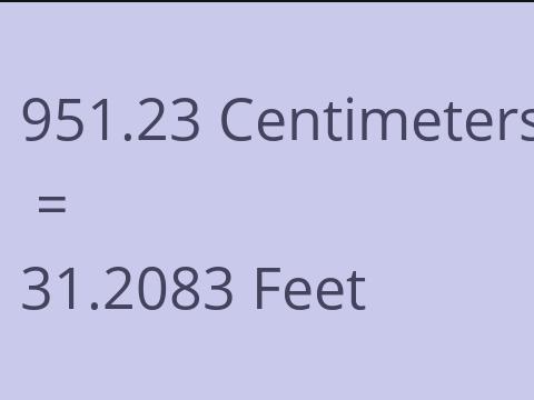 951.23 CM TO FEET