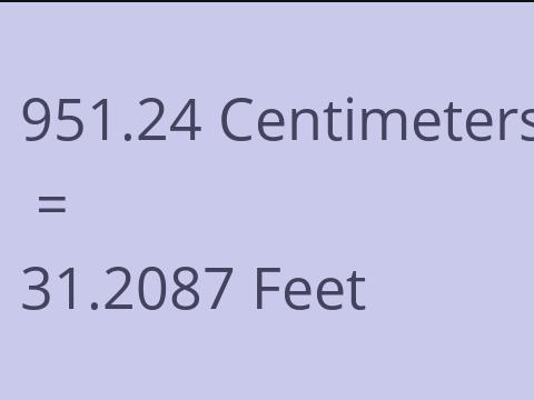 951.24 CM TO FEET