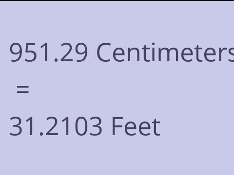 951.29 CM TO FEET