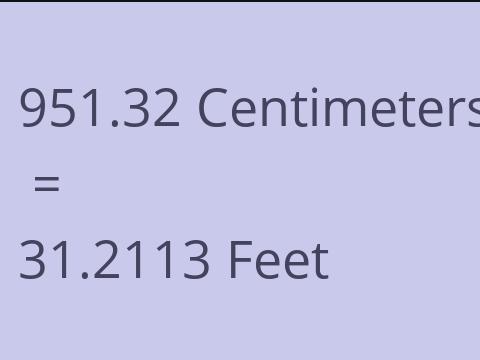 951.32 CM TO FEET