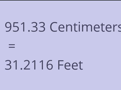 951.33 CM TO FEET