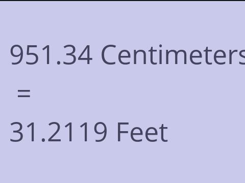 951.34 CM TO FEET