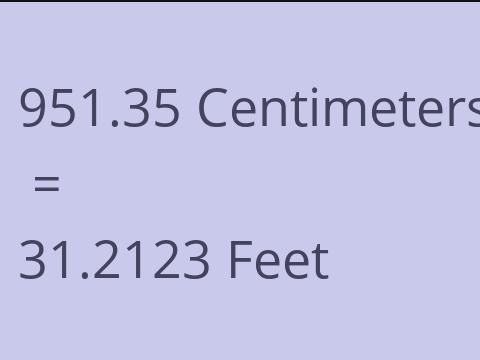 951.35 CM TO FEET