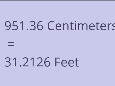 951.36 CM TO FEET