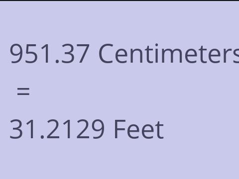 951.37 CM TO FEET