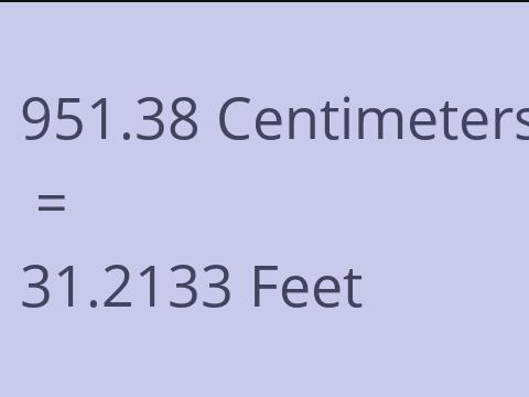 951.38 CM TO FEET