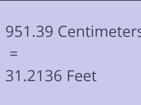 951.39 CM TO FEET