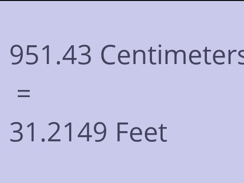 951.43 CM TO FEET