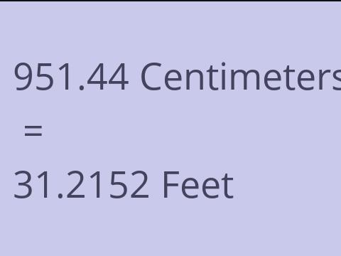 951.44 CM TO FEET