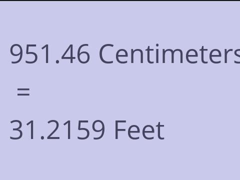 951.46 CM TO FEET