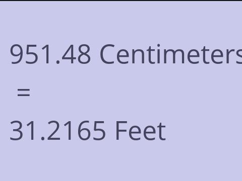 951.48 CM TO FEET