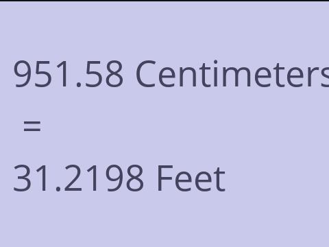 951.58 CM TO FEET